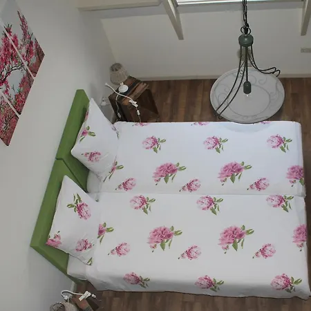 Bed & Breakfast De Bloesemgaard