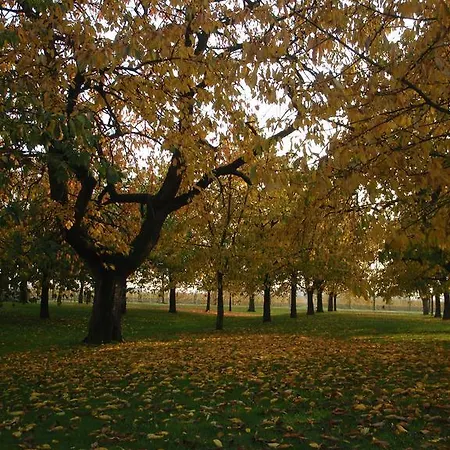 De Bloesemgaard Eck en Wiel